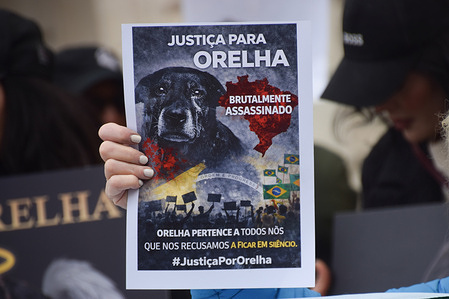 A protester holds a 'Justice for Orelha' placard during the demonstration. Protesters gathered outside the Embassy of Brazil demanding justice for Orelha and other animals who are victims of cruelty. Orelha was a beloved community dog in Florianopolis, Brazil, who was brutally tortured and killed, according to reports and the protesters, by several suspects who are widely believed to be from wealthy families.