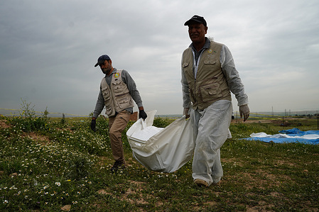Forensic experts carry bag containing human remains recovered from a mass grave in al-Haramat neighborhood, west of Mosul, Iraq. According to Ahmed al-Asadi, head of the mass grave excavation team, three mass graves have been opened in the al-Haramat and Mushairifa neighborhoods, west of Mosul, containing the remains of dozens of victims killed during ISIS control of the city. The victims include members of Kurdish Peshmerga forces, Iraqi security forces and Yazidi civilians, among them women and children. He added that since the liberation of Nineveh province in northern Iraq, around 100 mass graves have been opened, while approximately 20 additional sites containing mass graves remain unexcavated.