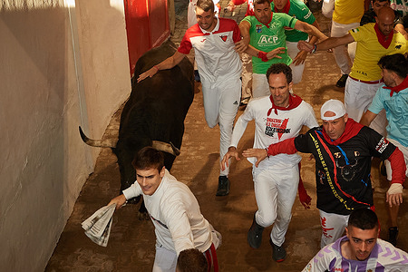 A young runner accompanies the bull, summoning him with a newspaper, during the seventh running of the bulls at the La Palmosilla ranch, during the 2025 San Fermín festival. Seventh running of the bulls in the San Fermín festivities, six bulls from the La Palmosilla ranch, have covered 850 meters that separated them from the Gas pens to the Pamplona bullring, having a duration of two minutes and twenty-two seconds, and leaving four injured by bull horns