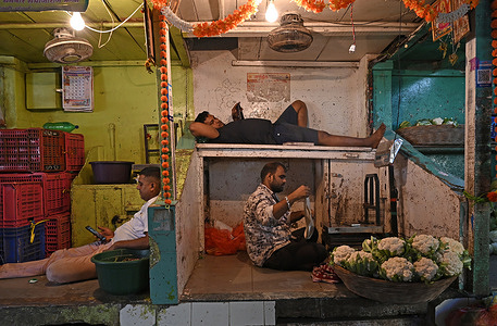 A man sleeping in a makeshift vegetable stall looks at his mobile phone inside a vegetable market in Mumbai. People from across the city come to shop for vegetables early in the morning due to its affordability, available variety and fresh locally sourced produce at the wholesale price.