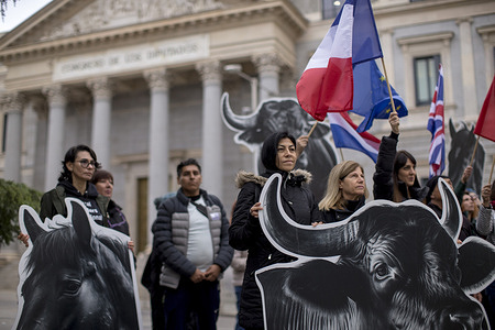 An activist holds a giant bull's head banner, during a demonstration demanding the abolition of bullfighting by International Anti-Bullfighting Network in front of the Congress of Deputies in Madrid.