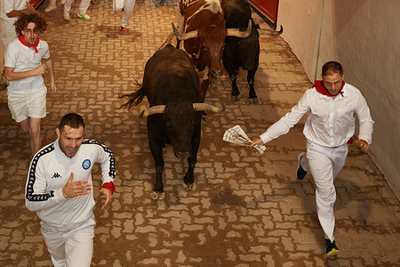 Young men run with the Jandilla fighting bull before entering the monumental bullring during the eighth running of the bulls of the San Fermín festivities 2026.
