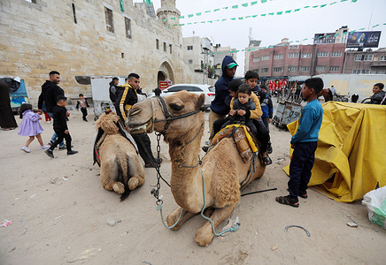 Palestinian children ride a camel in Khan Yunis, southern Gaza Strip, during the celebration of Eid al-Fitr.