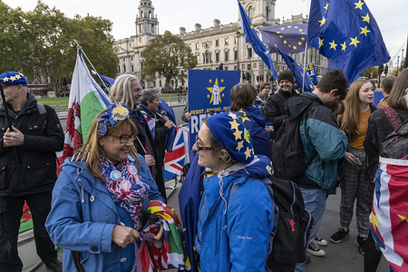 Anti Brexit protesters gather outside the House of Parliament.