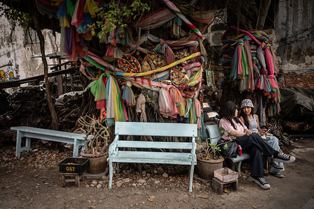 People rest under the shadow of a Banyan Tree during Bangkok Design Week 2026. Bangkok Design Week 2026, themed "Design SOS" is an expansive festival celebrating creativity and design across Bangkok. Held from January 29 to February 08, showcasing innovative design solutions and fostering positive energy amidst challenges. It promotes Bangkok's status as a UNESCO Creative City of Design, attracting creatives and visitors to explore and contribute to the city's vibrant design landscape.