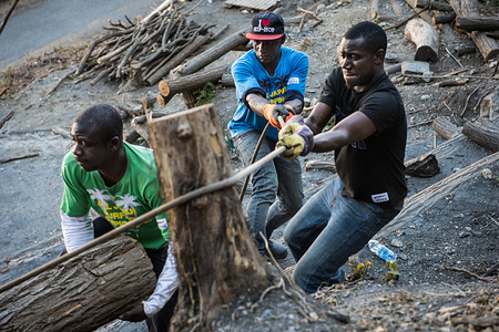 Genova,Italy - August 2016 - Refugees working in "the orto collettivo" , on Coronata hill in Genoa. Refugees deforest the hill to make it cultivable. Muslims and Christians guys are working together.