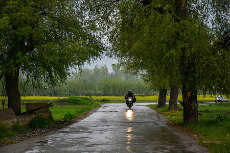 A motorcyclist rides along a road during rainfall on the outskirts of Srinagar.