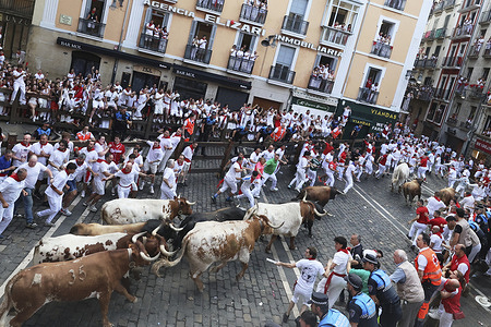Runners race ahead of the bulls through the streets of Pamplona during the running of the bulls at the San Fermín 2026 festivities. The bulls are from the La Palmosilla ranch.
