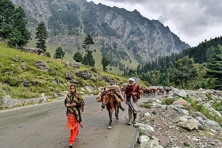 Kashmiri nomads walk with their herd of horses on a cloudy day at the tourist resort Sonamarg about 90kms from Srinagar, the summer capital of J&K, India.
As the rains continued for the fourth day on Sunday, the skies remained cloudy in the second half of the day. The weather department has predicted more precipitation in many parts of the valley in the next 24 hours.