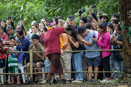 A spirit medium believed to embody Pu Sae or Ya Sae seen interacting with participants during the annual Pu Sae-Ya Sae Forest Offering Ritual. The annual Pu Sae-Ya Sae Forest Offering Ritual, a centuries-old Lawa tradition is held before the rice planting season and is believed to honor guardian spirits protecting the forests and watershed of Doi Suthep.