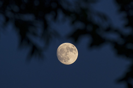 View of a full Sturgeon Moon in the sky of India.