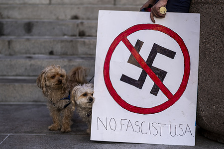 Dogs are seen next to a placard during a rally at City Hall in Los Angeles as part of the "Good Trouble Lives On" national day of action.