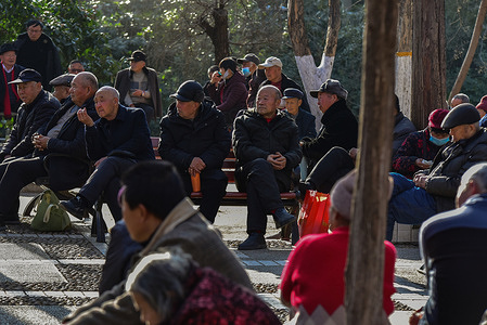 A large group of elderly people gather on benches, enjoying the warm sunshine in Lindai Road Park.