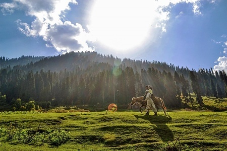 A Kashmiri man seen pulling a pony carrying visitors on the outskirts of Srinagar. Kashmir is the northernmost geographical region of the Indian subcontinent. It is currently a disputed territory, administered by three countries: India, Pakistan and China.