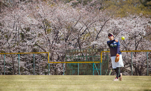 An amateur softball player seen practising in front of cherry blossoms at the park in Japan. 
The Cherry blossom also known as Sakura in Japan normally peaks in March or early April in spring.