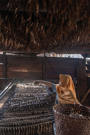 A woman packs smoked fish in a basket to sell. Smoked fish is a local commodity which is a source of livelihood and a mainstay for the coastal communities of Batu Gong, Konawe.
