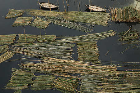 A large wholesale market of bamboo has been set up on the bank of the Shitalakkhya at Narayanganj.