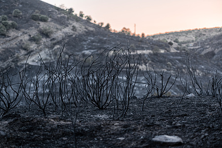 The mountain of Valdepeñas de la Sierra devastated by the flames of the fire. The Red Cross shelter in the town of Uceda, next to Valdepeñas de la Sierra, welcomed more than 150 people from the towns affected by the fire. The forest fire that lasted more than 48 hours in Valdepeñas de la Sierra, 80 kilometers from Madrid, Spain, destroyed more than 3,000 hectares. The authorities suspect that the fire could have been caused by a pyromaniac during the days of high heat temperatures recorded in Spain.