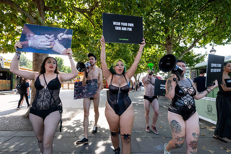 Animal activists march holding placards during the protest. Activists from F**k Exploitation staged a protest in Southbank, London, against animal exploitation. Protesters wearing lingerie use their bodies as part of the demonstration, drawing attention to what the group describes as the exploitation of animals through forced breeding, reproductive control and the use of their bodies.