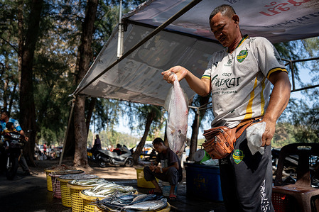 A fisherman displays a freshly caught fish along the shore. Fishermen in Narathiwat Province, Thailand, are preparing to dock their boats as diesel prices surge, driven by disruptions in global supply linked to the conflict in the Middle East. Recent strong winds have already kept many boats ashore, but rising fuel costs and growing shortages are now forcing them to scale back further and proceed with caution. Some have begun stockpiling fuel in small containers in anticipation of tougher days ahead.