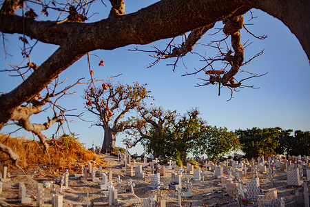 A Catholic-Muslim church, also built on shells and the inevitable baubabs, is connected to the island of Fadiouth by a bridge.