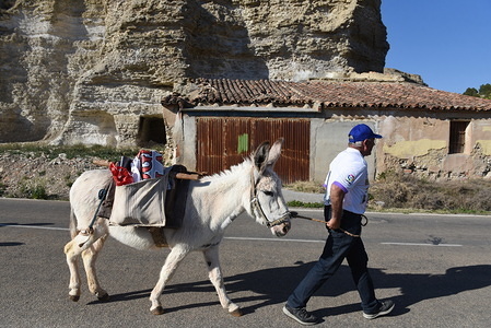 Raimundo Fernandez is seen walking with a donkey 'Margarita' during the protest against depopulation in the Soria region.
Fernandez, mayor of the small village of Torrubia de Soria, is marching with his donkey 'Margarita' from his village to Calatayud 60 kilometres distance, to demand that the Spanish government take measures against depopulation in the region.