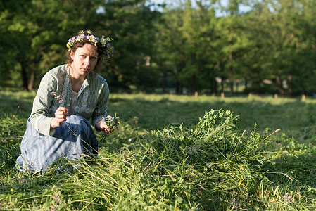 A woman dressed in traditional working outfit collects flowers on the meadow during sunrise. Around fifty locals gather to mow flower meadow in Stromovka park, which is biggest park in Prague, located close to the historical city Centre.