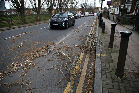 Tree branches blown on the road by strong winds from Storm Eunice.