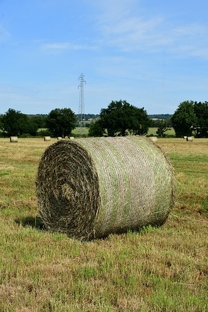 Hay bale seen in a field in a village.