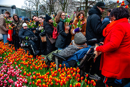 A woman is seen making space with her wheelchair. This year, National Tulip Day was a celebration of inclusivity and dedicated to the 750th anniversary of Amsterdam. Visitors can pick tulips for free from the picking garden with more than 200,000 colorful tulips at the Museumplein.