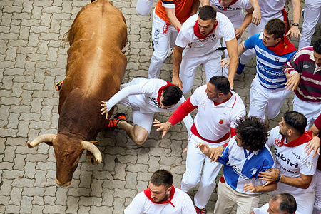 Several runners run in front of the bulls through the streets during the Running of the Bulls at the San Fermín 2025 festivities. The bulls are from the Jandilla ranch.