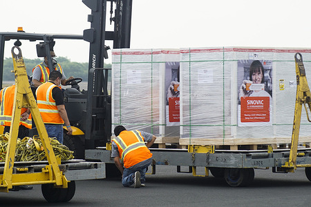 Logistic workers unload a container with the CORONAVAC vaccine doses during the arrival.
Salvadoran President Nayib Bukele announced that the country has acquired half a million doses of the Chinese manufactured CORONAVAC COVID-19 vaccine.