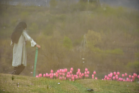 A visitor is reflected in a pool of water as she walks through the blooming tulips at the Asia's largest tulip garden during a spring season in Srinagar. A total of 1.8 million tulip bulbs, along with one lakh spring flowers such as daffodils, hyacinths and roses, are attracting visitors this year. The Tulip Garden in Srinagar’s summer capital earned a place in the World Book of Records (London) as Asia’s largest in 2023.