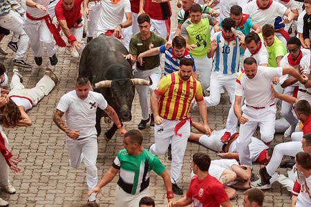 Running of the bulls, in front of a bull from Miura (Lora del Río-Sevilla), during the seventh running of the bulls of the San Fermín festivities 2026, Pamplona.