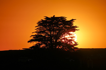 Sun is seen over the horizon at Campbells Cove Beach. A severe heatwave warning has been issued across large parts of Australia, with extreme temperatures forecast for Wednesday. Inland Victoria is expected to be among the hottest areas, with Mildura reaching up to 44°C and Melbourne forecast to hit 41°C. South Australia is also facing intense heat, with Adelaide expected to reach 41°C, while Canberra may see temperatures of 36°C. Coastal cities are forecast to be cooler, with Sydney and Brisbane both expected to reach around 31°C. Authorities are urging residents to take heat-health precautions as the extreme conditions approach.
