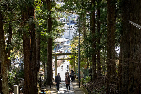 Visitors walk along a forested path passing through a torii gate in the Higashiyama Temple Area (Higashiyama Teramachi) in Takayama, Gifu Prefecture, Japan. Tall cedar trees line the hillside route, with views opening toward the town below. The Higashiyama Temple Area in Takayama is a quiet network of temples and shrines connected by scenic walking paths on the edge of the old town. Known as the Higashiyama Walking Course, it offers a peaceful contrast to the busier districts, with forested trails and historic sites along the route.