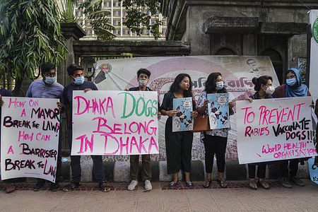 Animal rights supporters wearing face masks as a preventive measure hold placards during a demonstration against the decision of Dhaka authorities to relocate stray dogs out of the city.