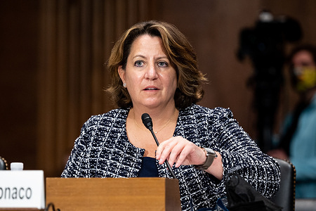 Lisa Monaco, Deputy Attorney General, Department of Justice, speaks at a hearing of the Senate Judiciary Committee.