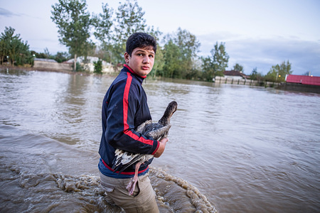 A boy walks through a flooded road.Around 200 people were affected by heavy rains that caused a flood on Gilan province. Several bridges collapsed and some roads were blocked. The flood has caused one death and itís the second consecutive year in the village of Sheikh Mahala, disrupting normal life.