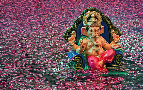 A volunteer (below the water) carries an idol of elephant-headed Hindu god Ganesha to immerse in the artificial man made pond covered with rose petals in Mumbai. Ganesha idols are traditionally immersed in a free flowing water body like a lake, river or an ocean. To reduce water pollution and protect the environment, artificial man made ponds are built so that smaller idols are immersed in them, this ritual signifies the birth cycle of Lord Ganesha.