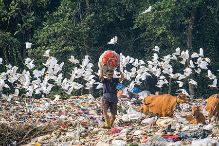 A scavenger seen carrying a sack containing trash that he has sorted to be sold at the Kendari puuwatu final landfill. The Kendari city government through the Environment and Forestry Service (DLHK) noted an increase in waste production in Kendari city reaching 290 tons per day. this figure increased by about 30 tons compared to the previous year.