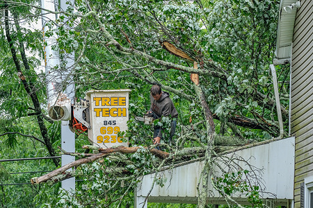 A worker removes a tree that fell on a house in Milford after a strong storm caused by Tropical Storm Elsa struck the area. 
Damage from Tropical Storm Elsa hit the mid-Atlantic states Thursday night and Friday morning.