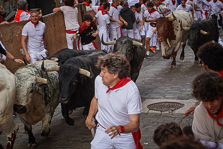 Runners challenge the bulls' horns into performing beautiful races showing their courage by running in front of six fighting bulls through the streets.
