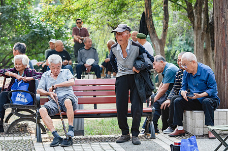 Elderly people are in the park, with some sitting on benches and others interacting. By the end of 2024, the number of elderly people, aged 60 and above in China had exceeded 310 million, accounting for 22% of the total population.