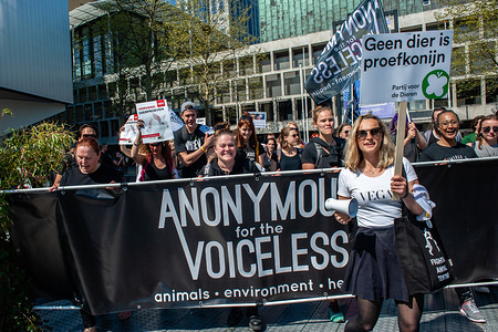 A group of pro animals activists are seen holding a big banner during the protest.
The Non-governmental organization 'Animal Rights' organized a demonstration for the replacement of animal testing. Hundreds of people gathered in the center of Rotterdam to demand the Dutch government stop subsidizing animal testing and explore other alternatives.