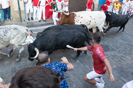 Runners ascend the famous Santo Domingo slope followed by the fighting bulls from the Cebada Gago ranch. The festival of San Fermín is a week-long celebration held annually. It starts at noon on July 6 and ends at midnight on July 14. The festivities begin with a firework (chupinazo) and end with the song "Pobre de mí." Bullfighting and the bull run are among the highlights of the festival.