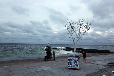 People take photos near the New Year's tree on the promenade of Langeron Beach, where stains of vegetable oil are visible on water. Oily slicks on the sea surface in Odessa are the result of a vegetable oil spill in the port of Pivdenny, which was hit by Russian attacks a couple of days ago. And bird dead at the Odessa coast, after an oil spill.