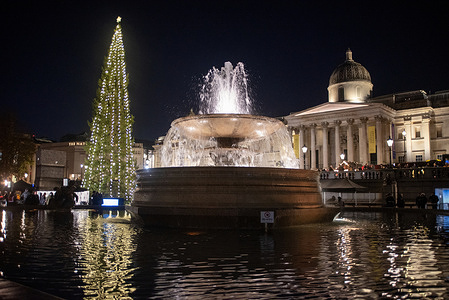 The Norwegian Christmas tree reflects on the fountain's water on the Trafalgar Square in London. The Trafalgar Square Christmas tree is a traditional gift from Norway to the UK to thank you for its support during the WWII. The tradition started in 1947 and a Norwegian spruce has been sent to London each year to symbolize the strong relationship between the two countries.