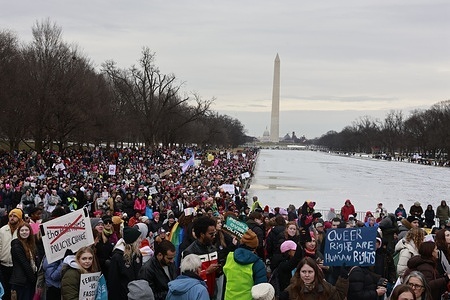 Protestors gather at the Lincoln Memorial during the "People's March on Washington" . The protesters are opposing the incoming Trump administration two days before the presidential inauguration.