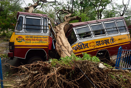 A damaged bus by an uprooted tree during the aftermath.
Cyclone Amphan hit west Bengal with a speed of 150 Km/ hr leaving 19 people dead with more than 1000 trees uprooted along with electric poles, traffic signs and many vehicles damaged. Electricity and mobile networks were cut off but restored after 72 hours in some areas.